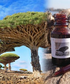 DARGON'S BLOOD