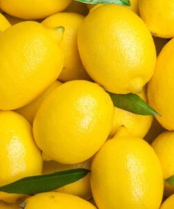 LEMON FROM SETOUCHI