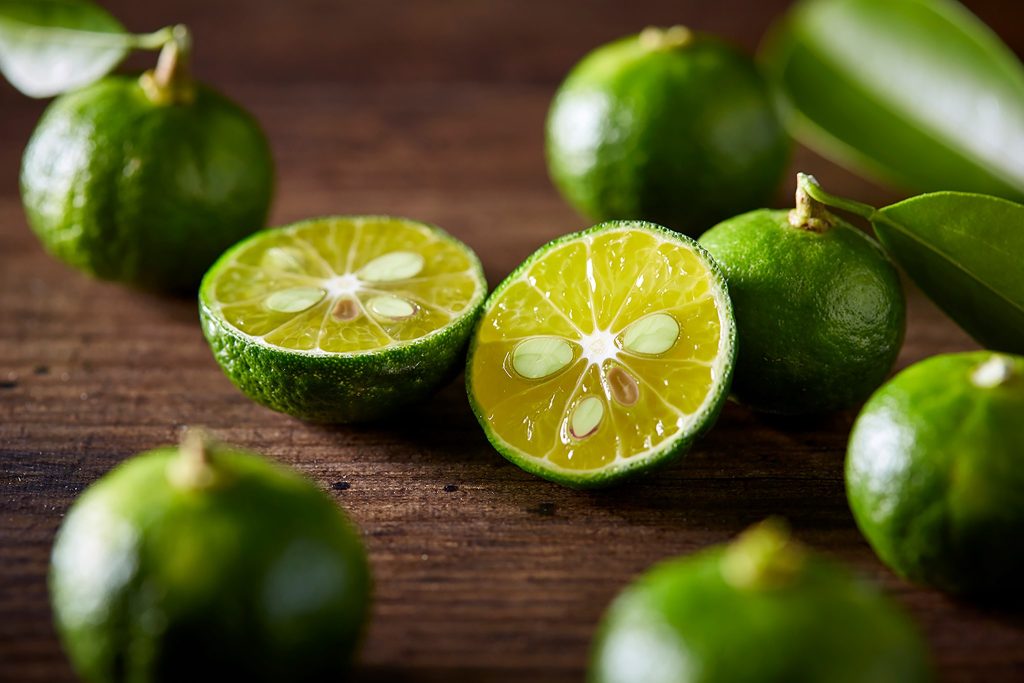 SHIKUWASA FROM OKINAWA