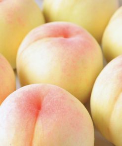 PEACH FROM OKAYAMA