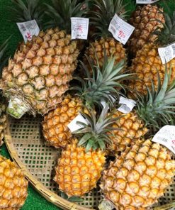 PINEAPPLE FROM OKINAWA
