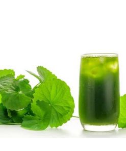 Chiết xuất rau má chuẩn hóa