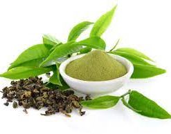 Chiết xuất trà xanh chuẩn hóa