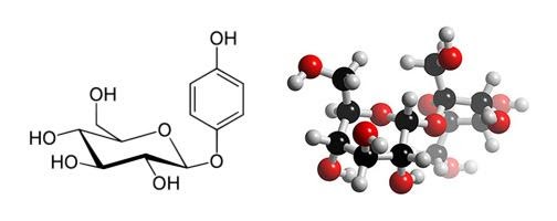 Alpha-Arbutin 