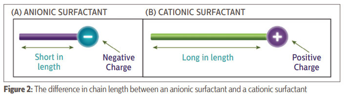 Sự khác nhau về độ dài giữa chất hoạt động bề mặt anion và cation
