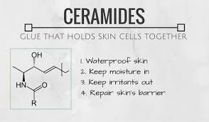 Ceramide