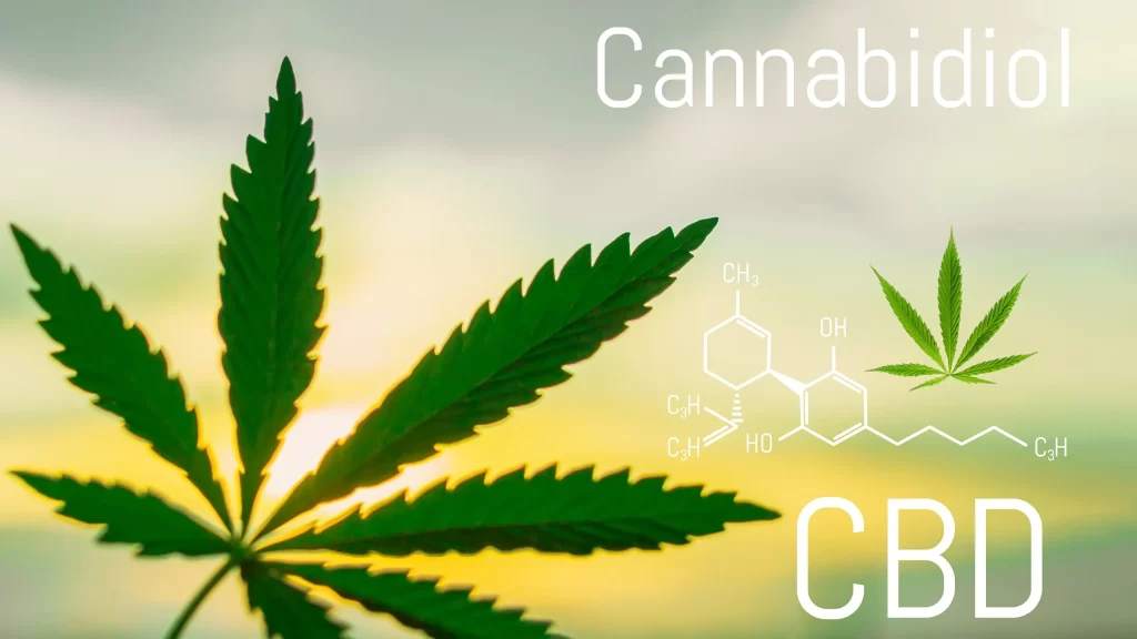 CBD- Cannabidiol