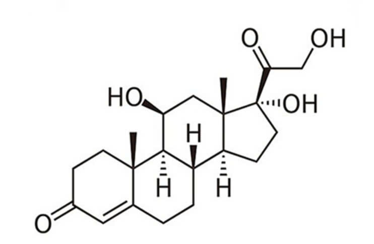 Cấu trúc phân tử của Corticoid